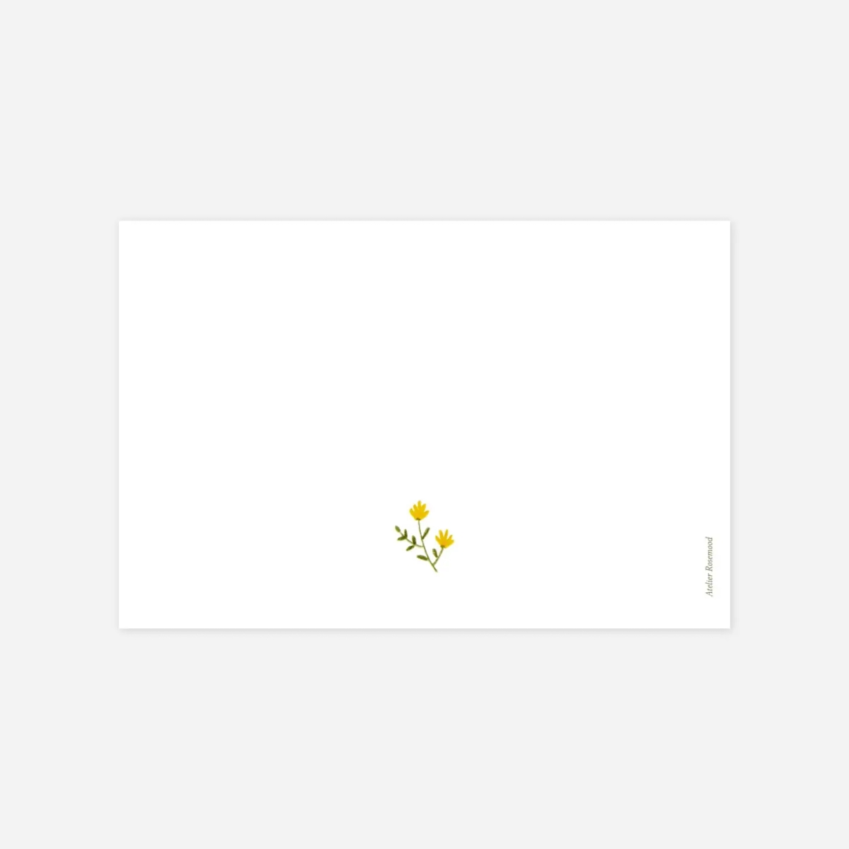 Carte de correspondance Fleurs sauvages