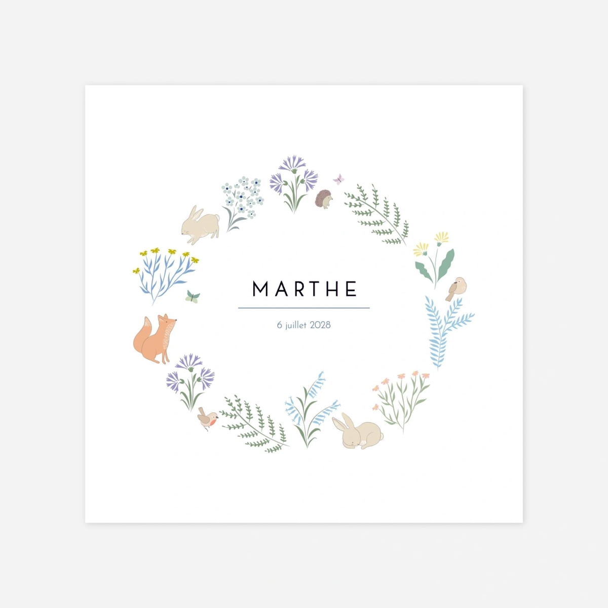 Faire-part naissance Galipette