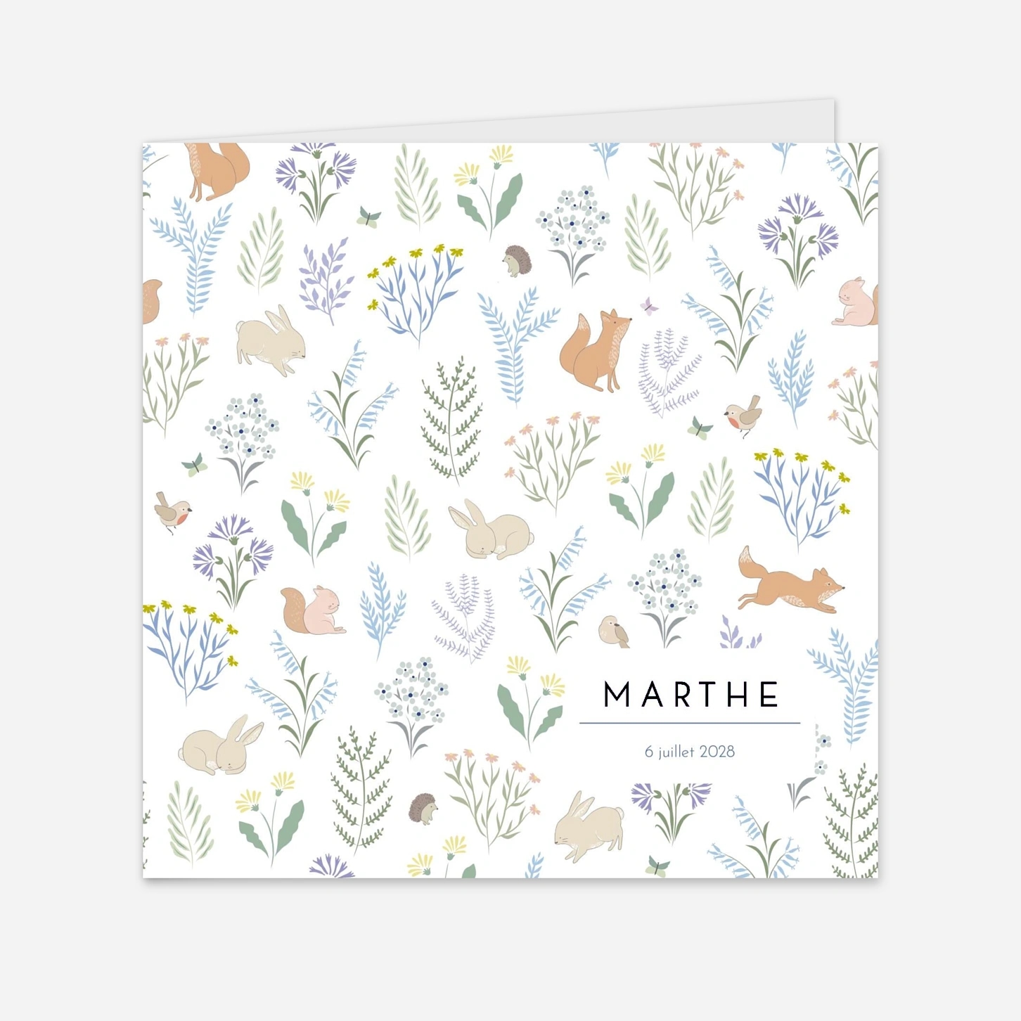 Faire-part naissance Galipette