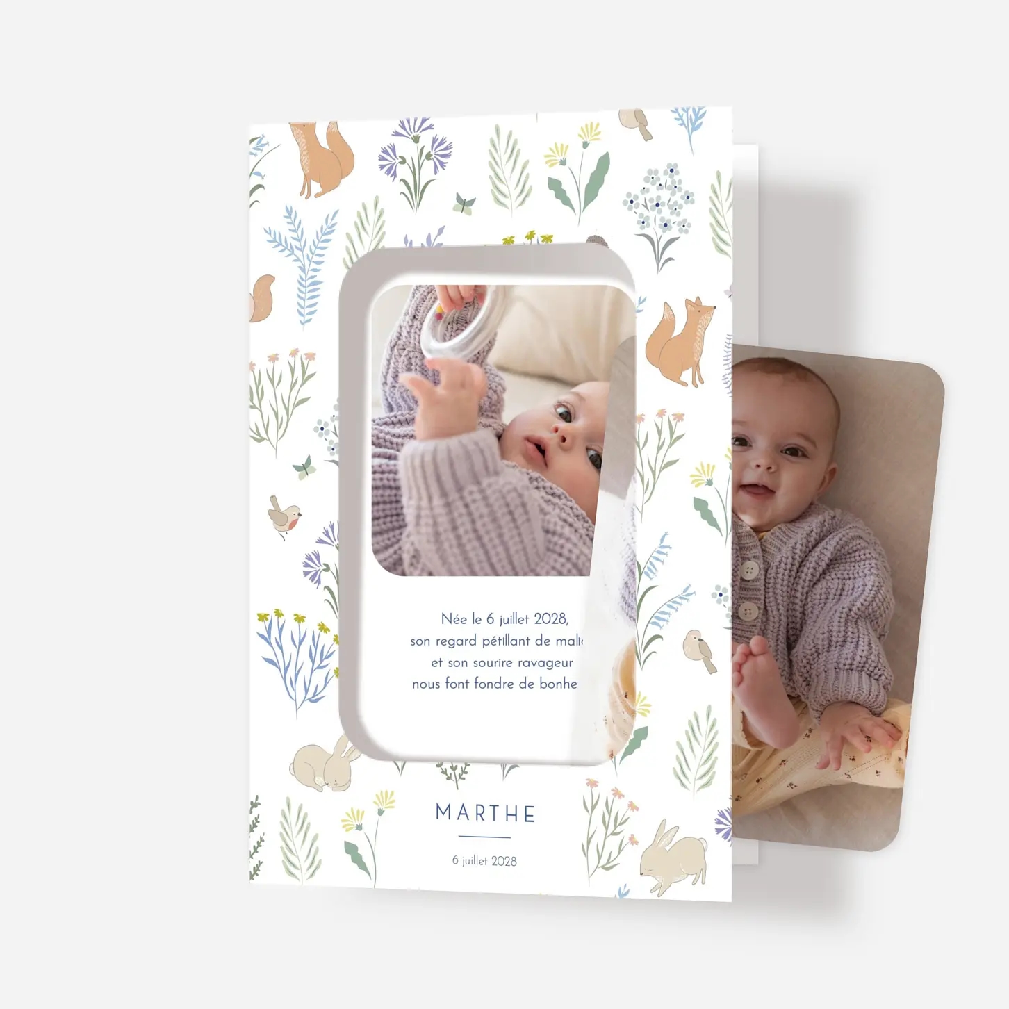 Faire-part naissance Galipette