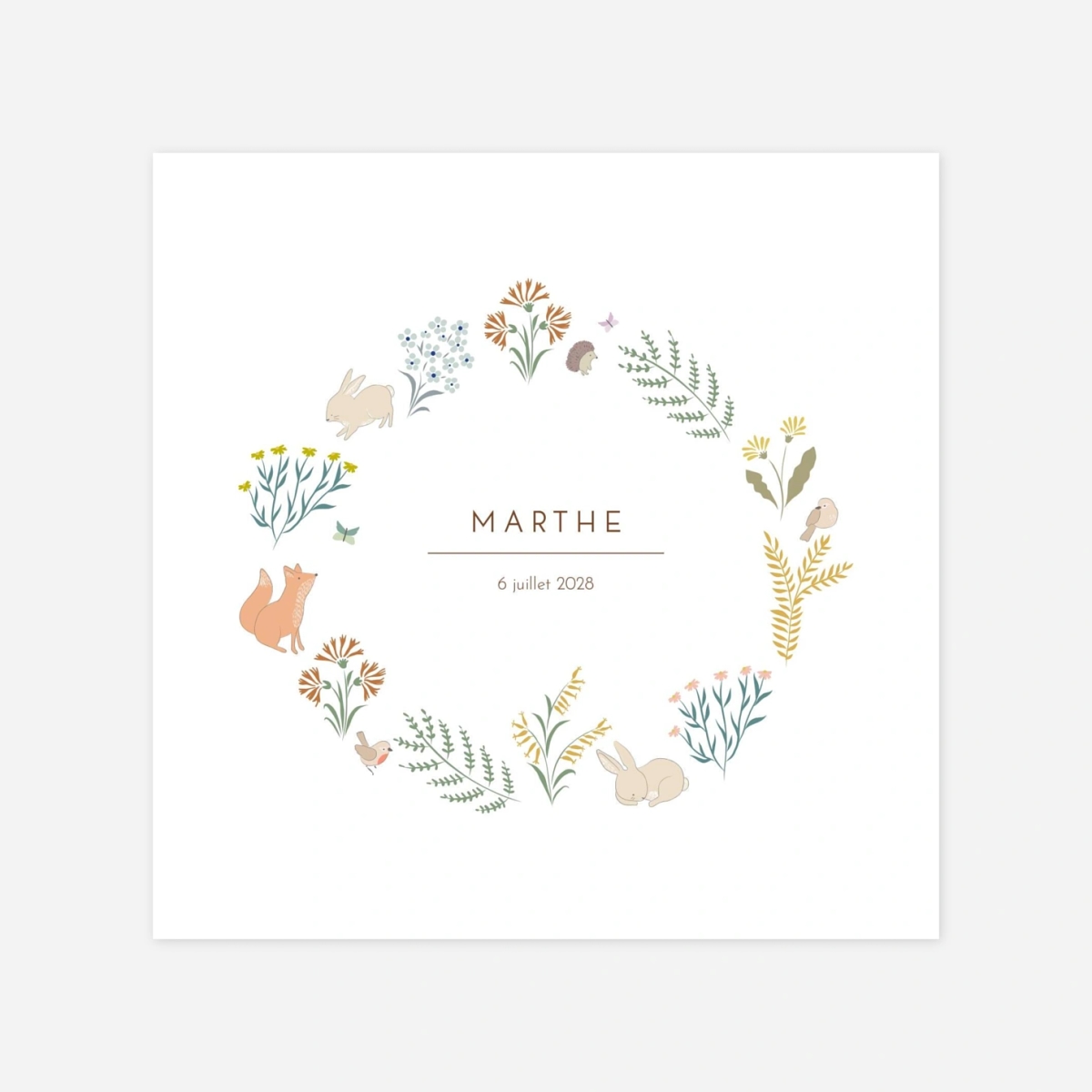 Faire-part naissance Galipette