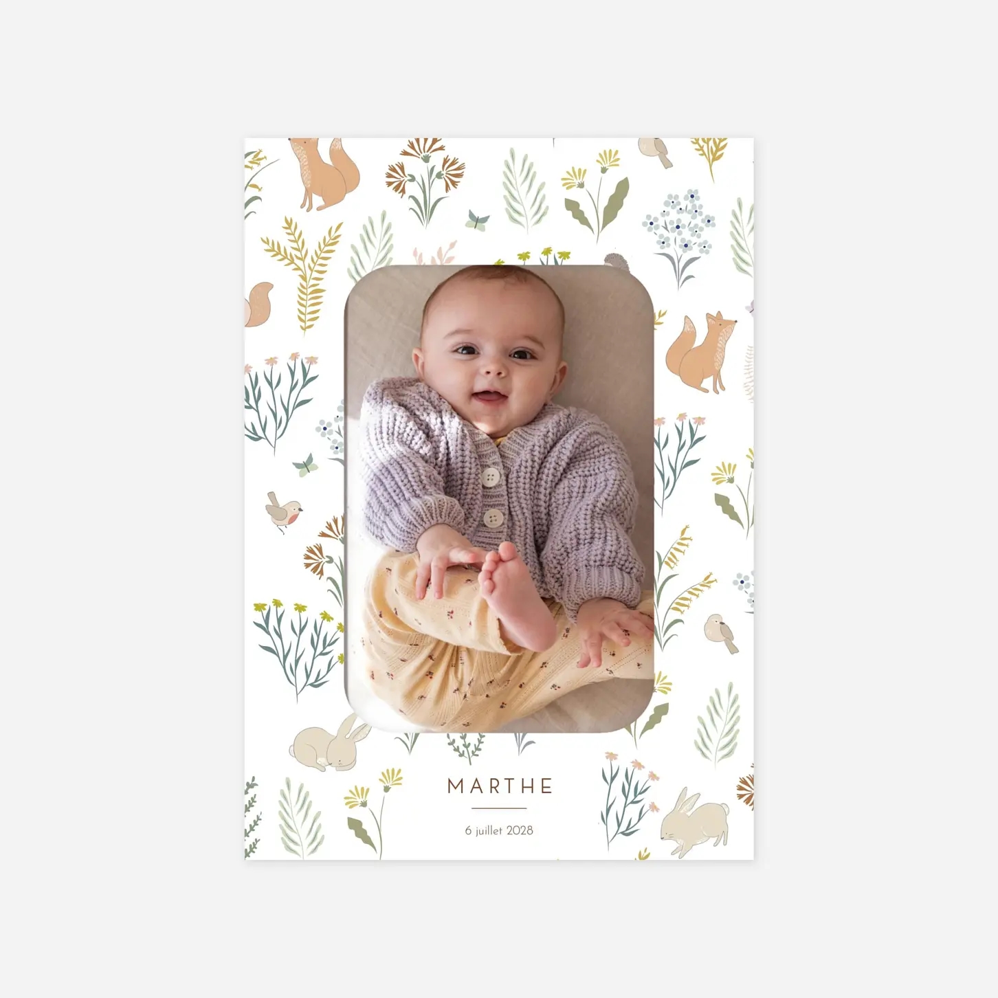 Faire-part naissance Galipette