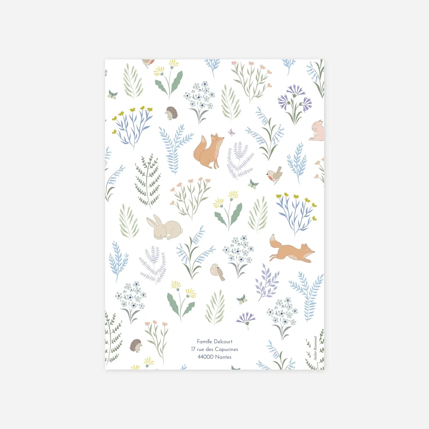 Faire-part naissance Galipette