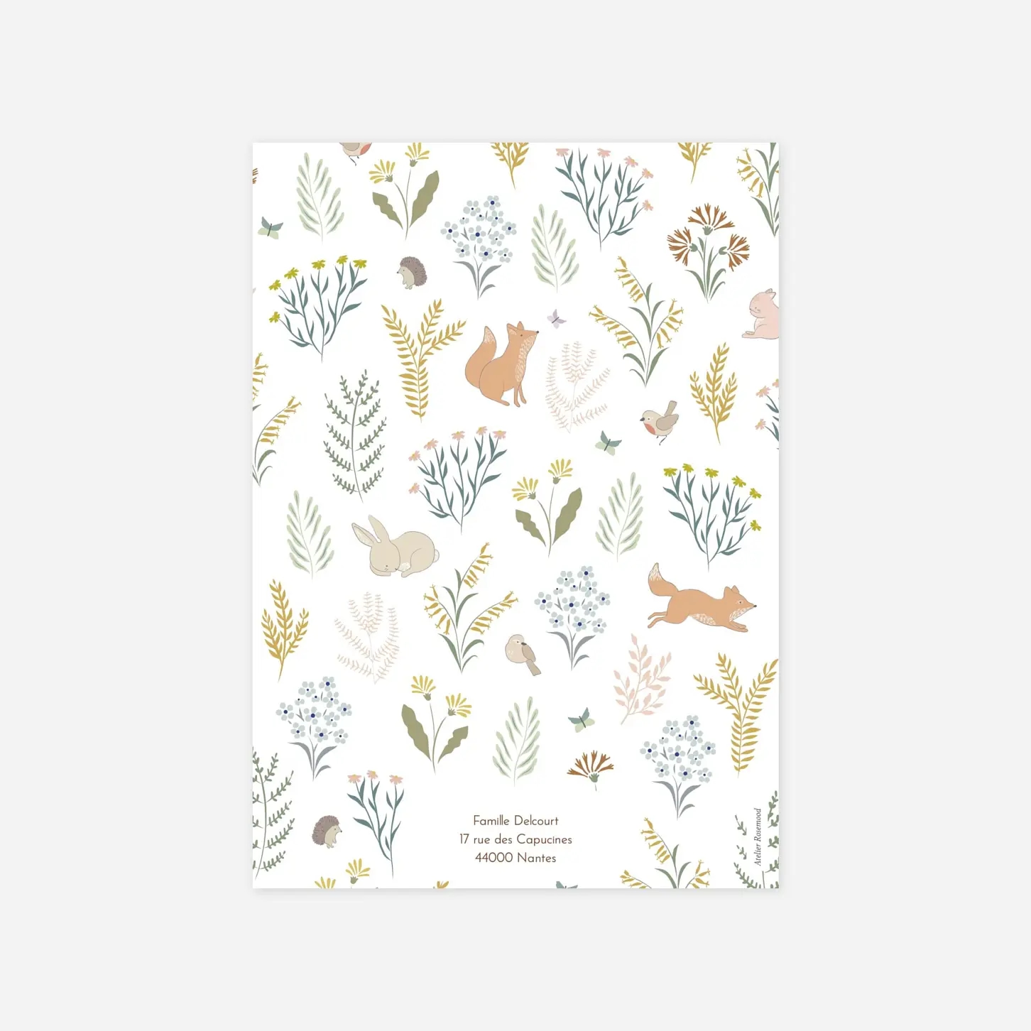 Faire-part naissance Galipette