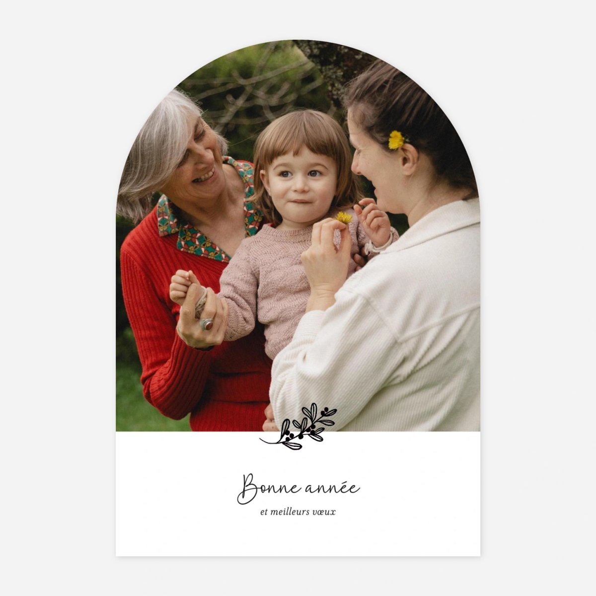 Carte de voeux Gui joli