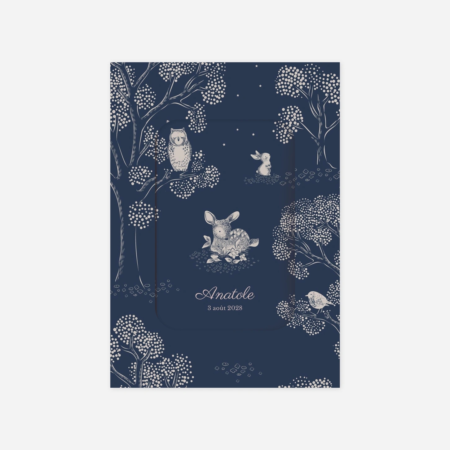 Faire-part naissance Histoire du soir