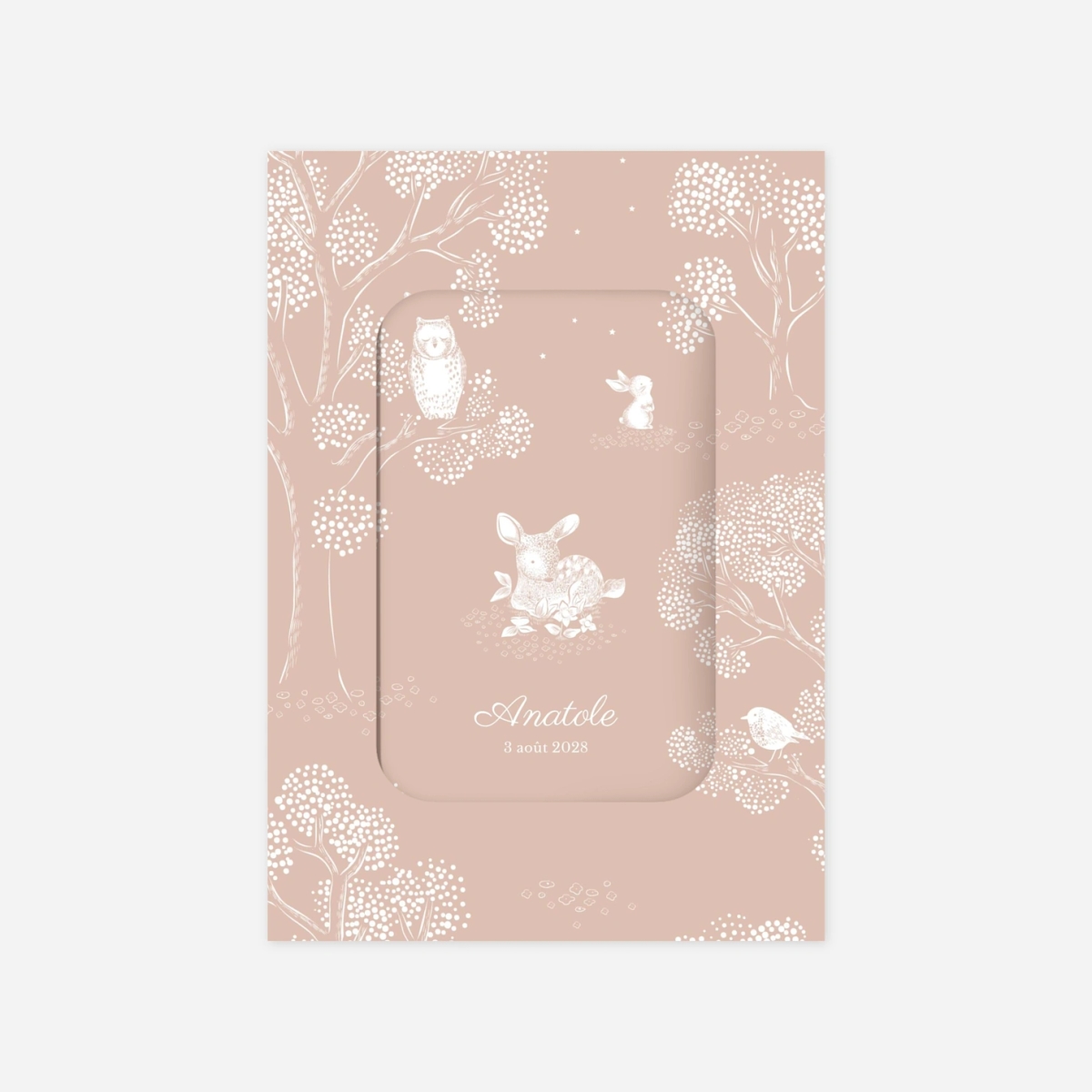 Faire-part naissance Histoire du soir