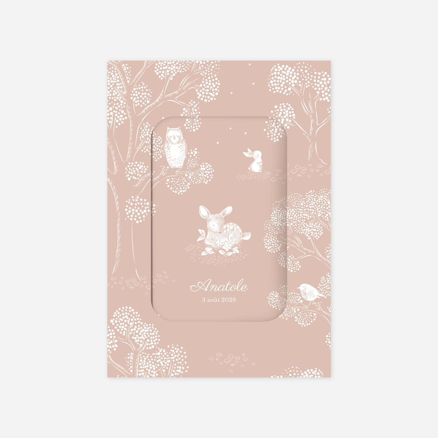 Faire-part naissance Histoire du soir