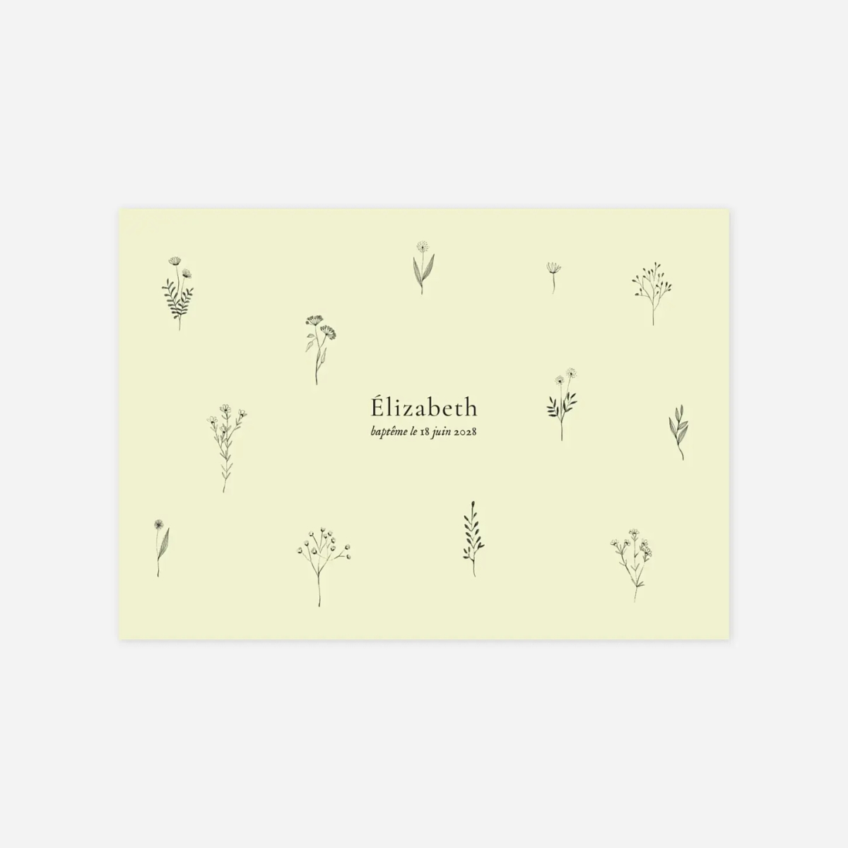 Faire-part baptême Herbier
