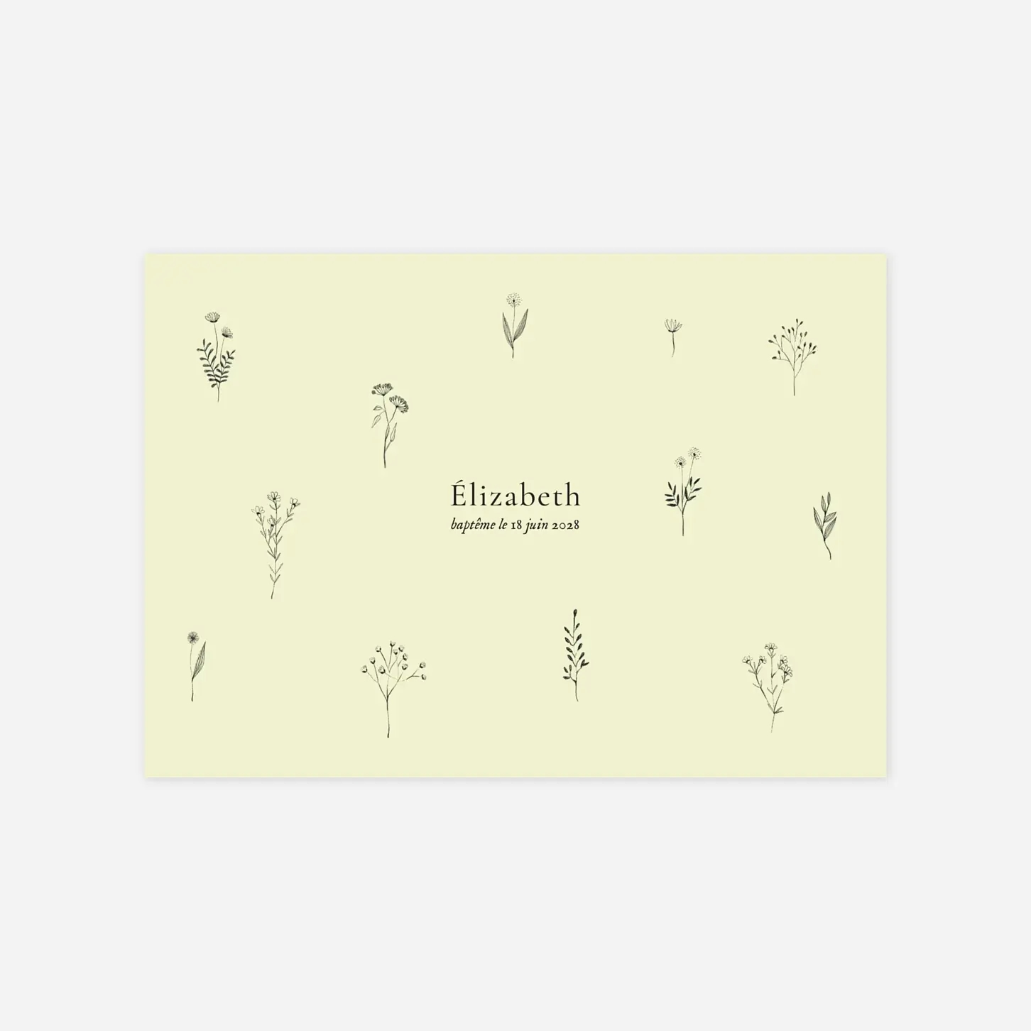 Faire-part baptême Herbier