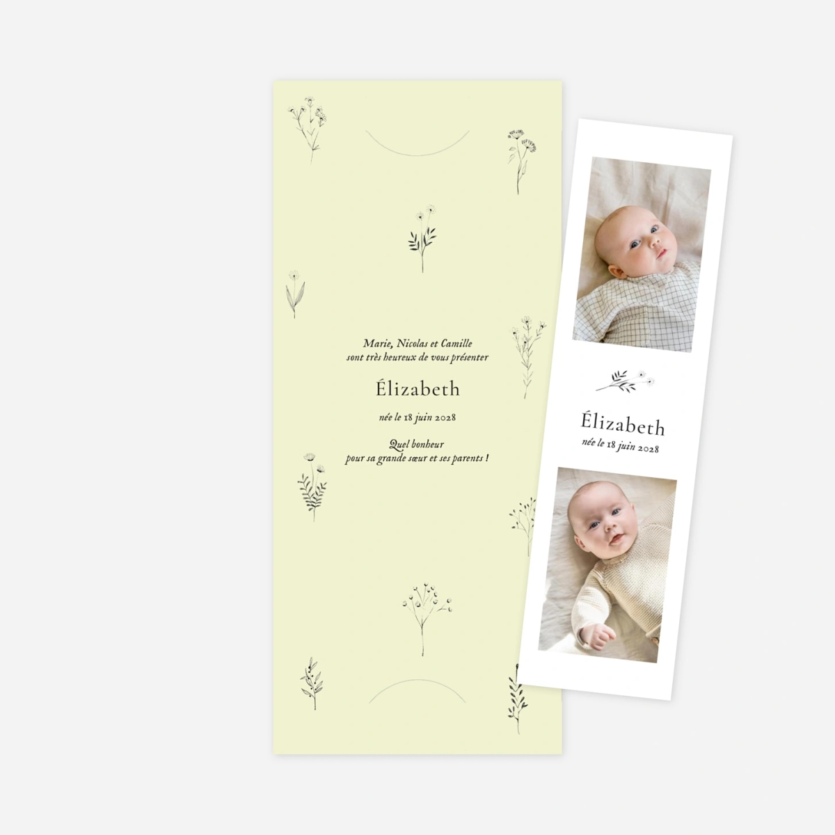 Faire-part naissance Herbier