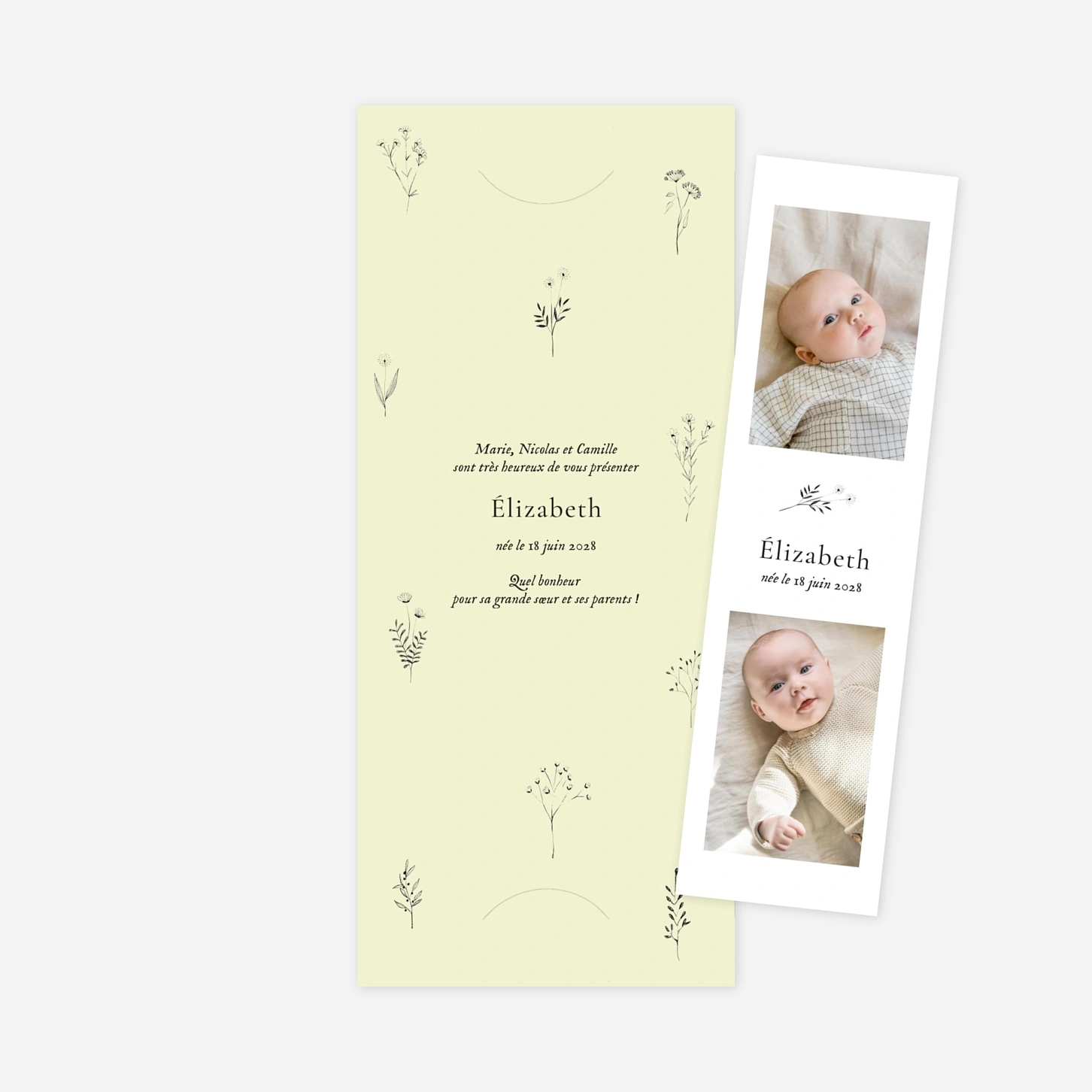 Faire-part naissance Herbier