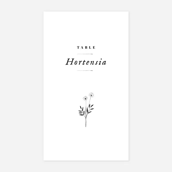 Herbier