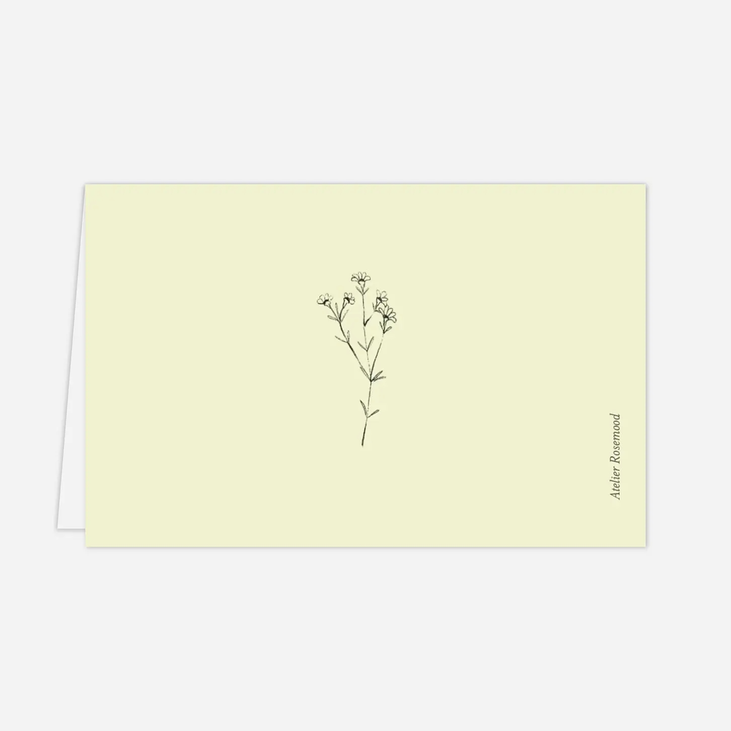 Marque-place Baptême Herbier