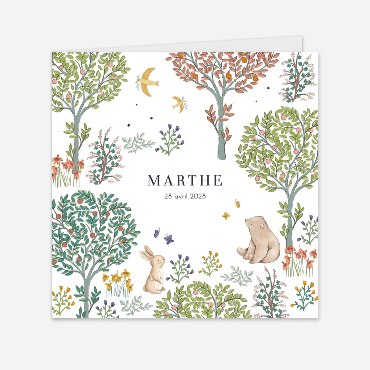 Faire-part naissance Histoire du jardin