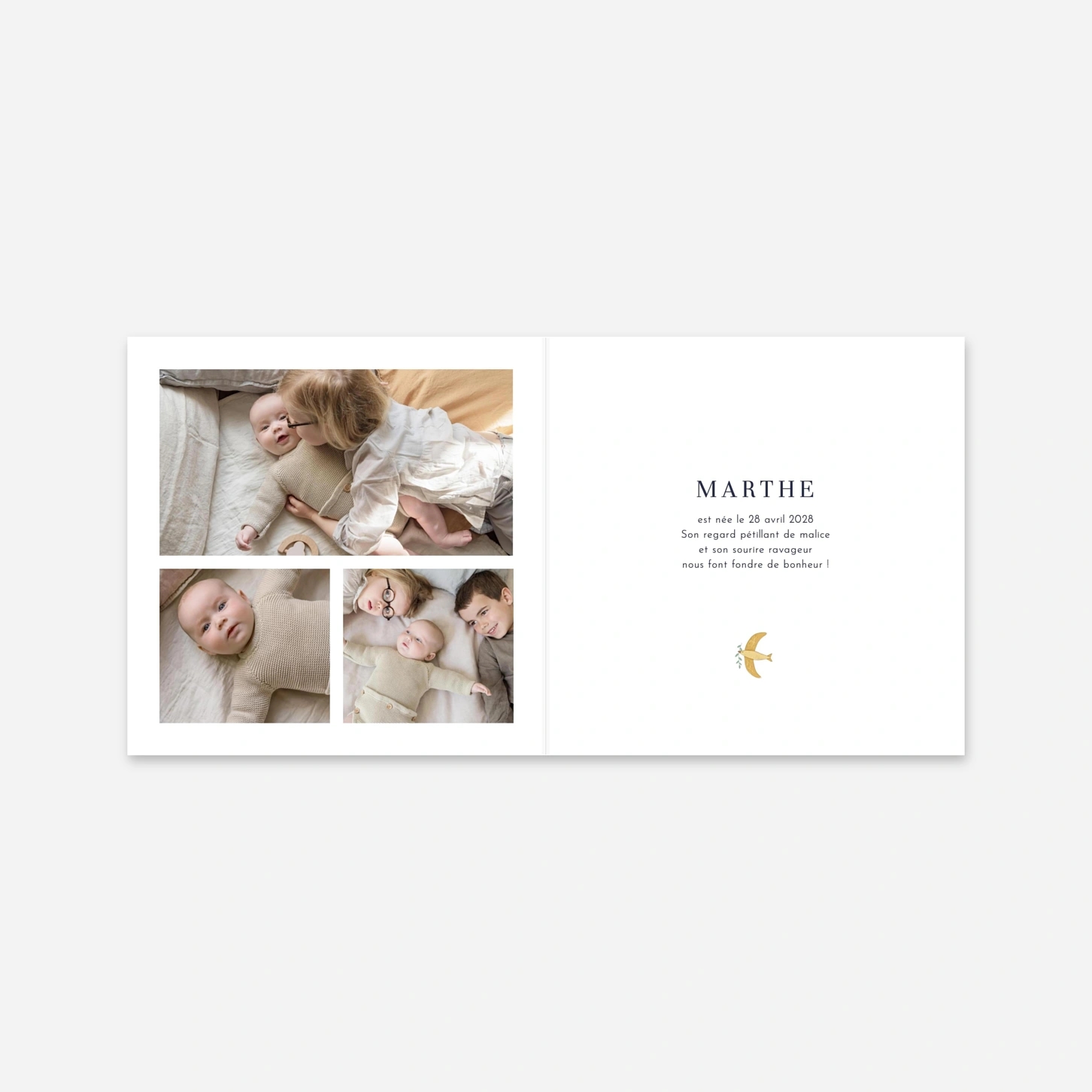 Faire-part naissance Histoire du jardin