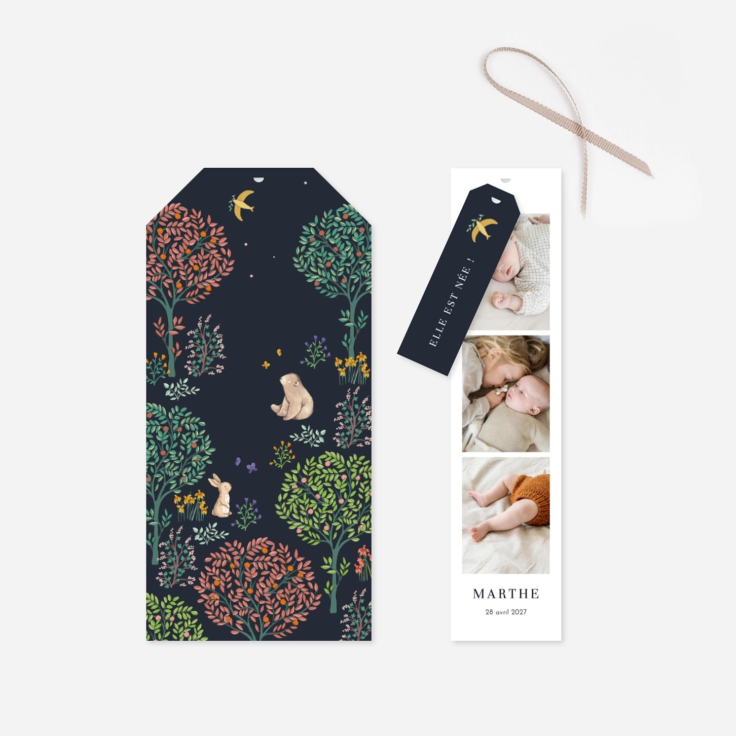 Faire-part naissance Histoire du jardin