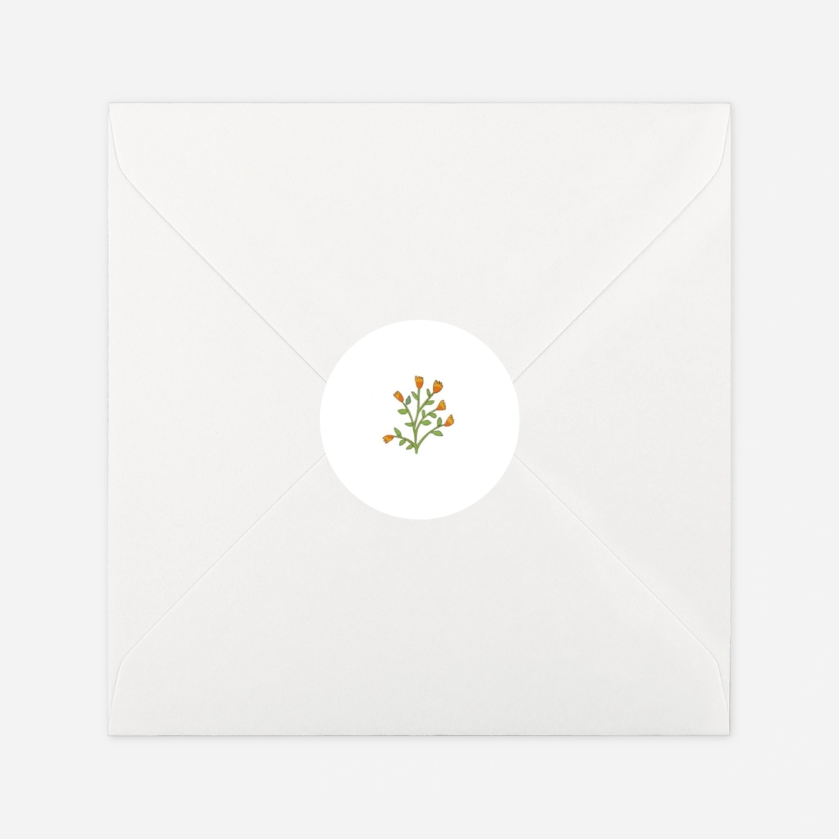 Stickers naissance Histoire du jardin