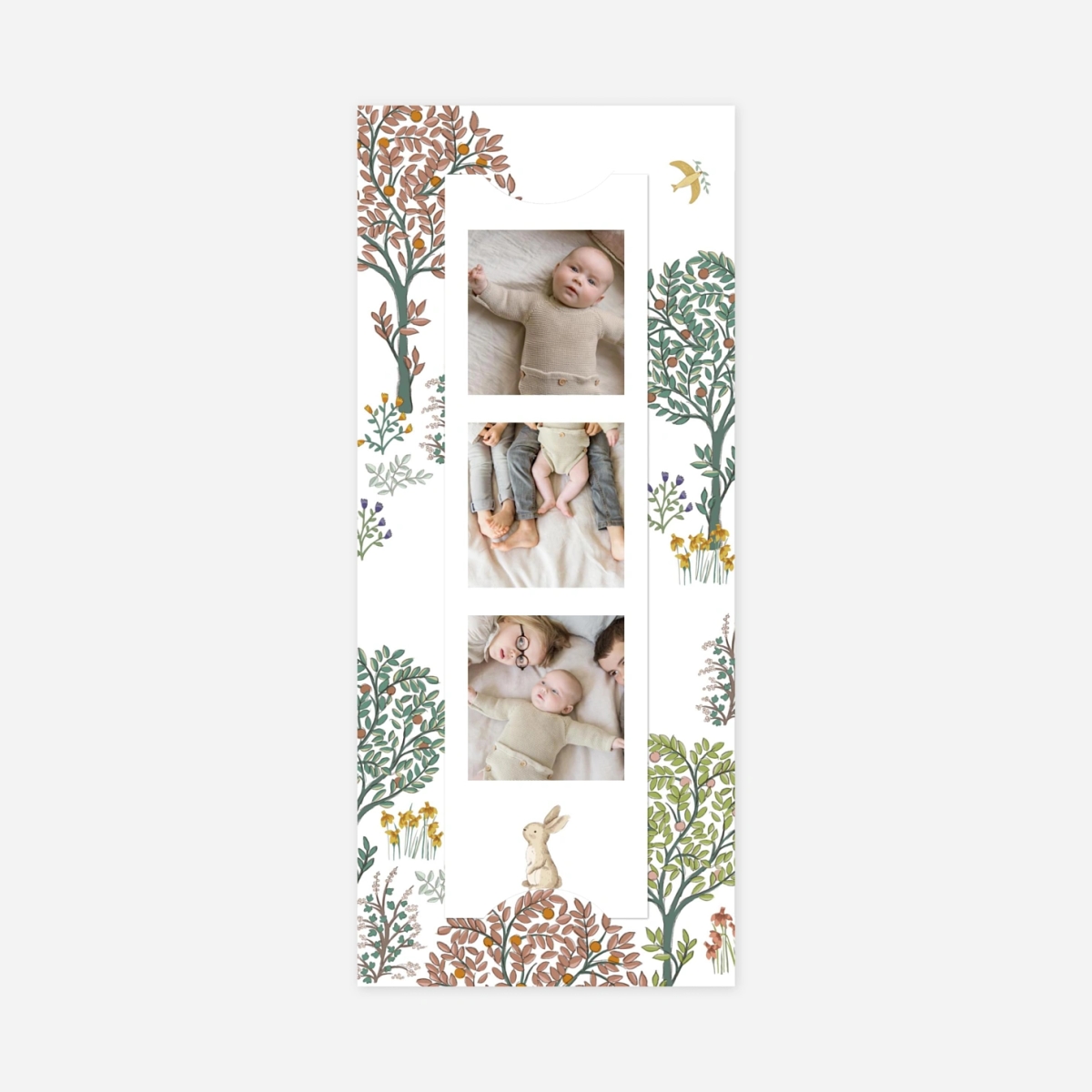 Faire-part naissance Histoire du jardin II