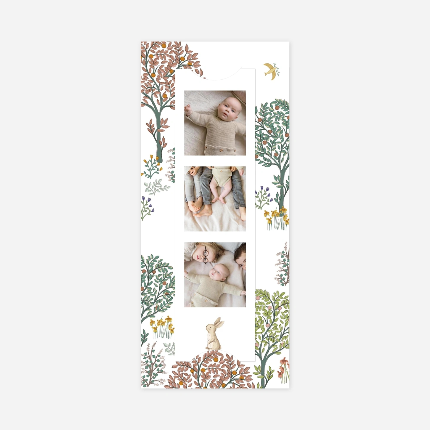 Faire-part naissance Histoire du jardin II