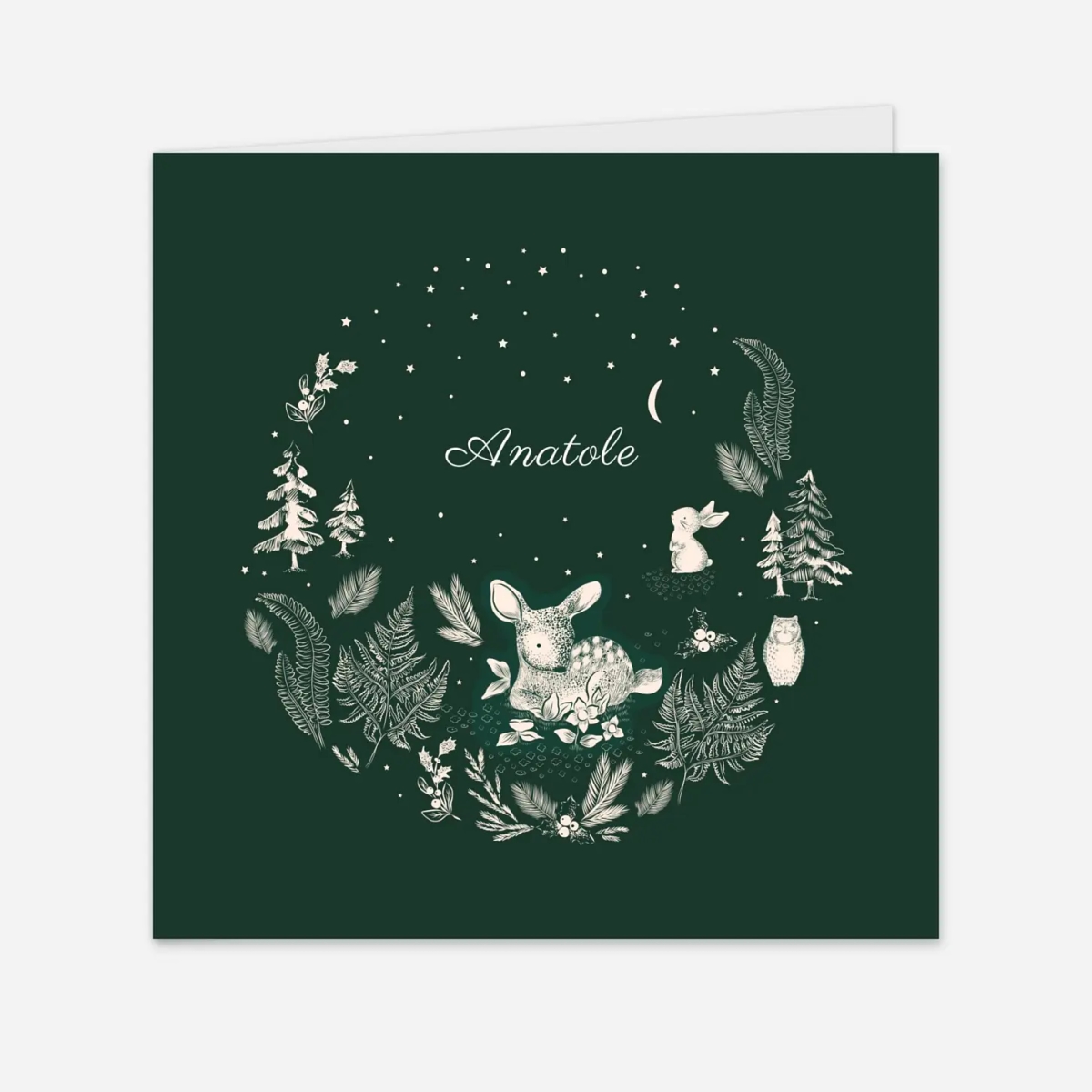 Faire-part naissance Histoire de Noël