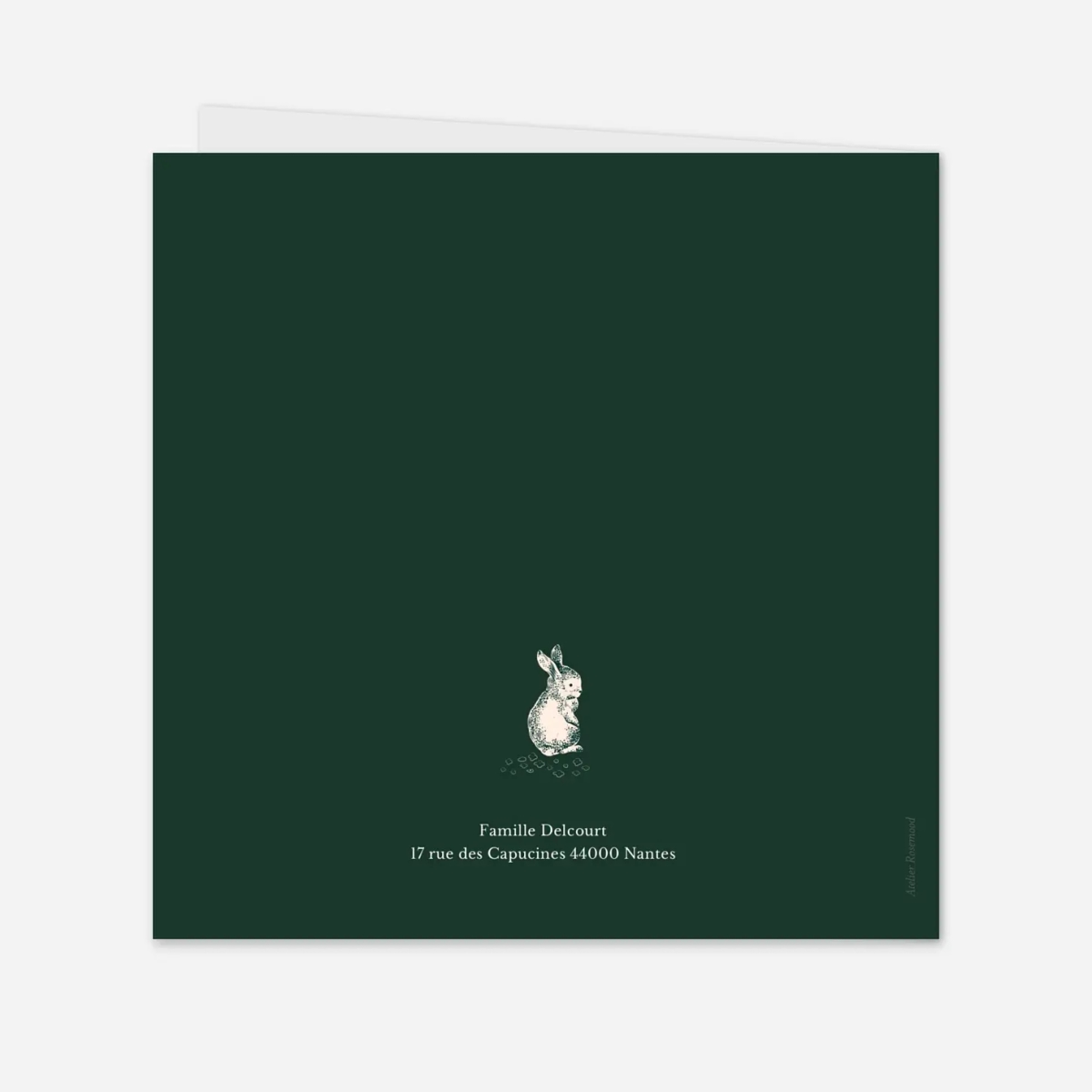 Faire-part naissance Histoire de Noël