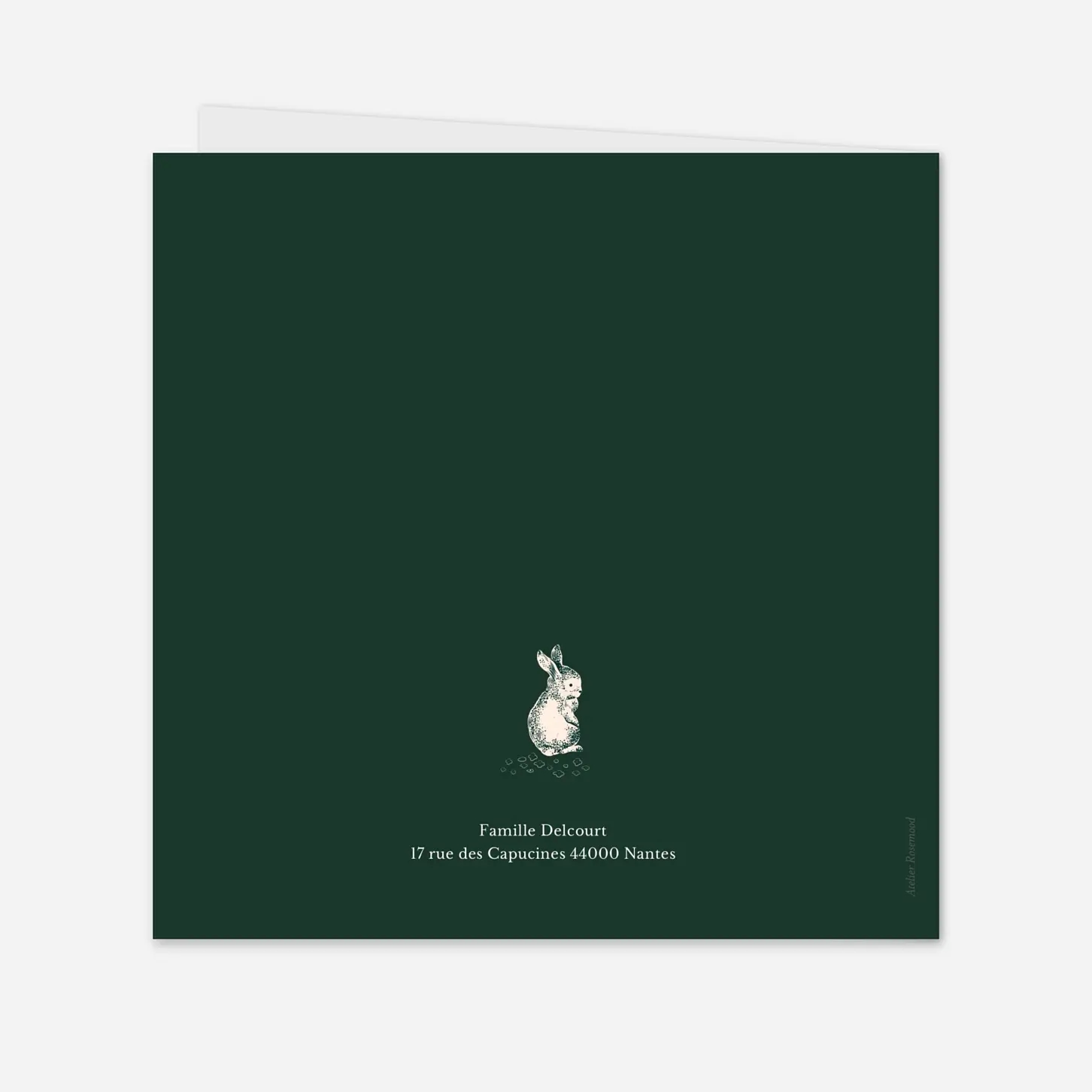 Faire-part naissance Histoire de Noël