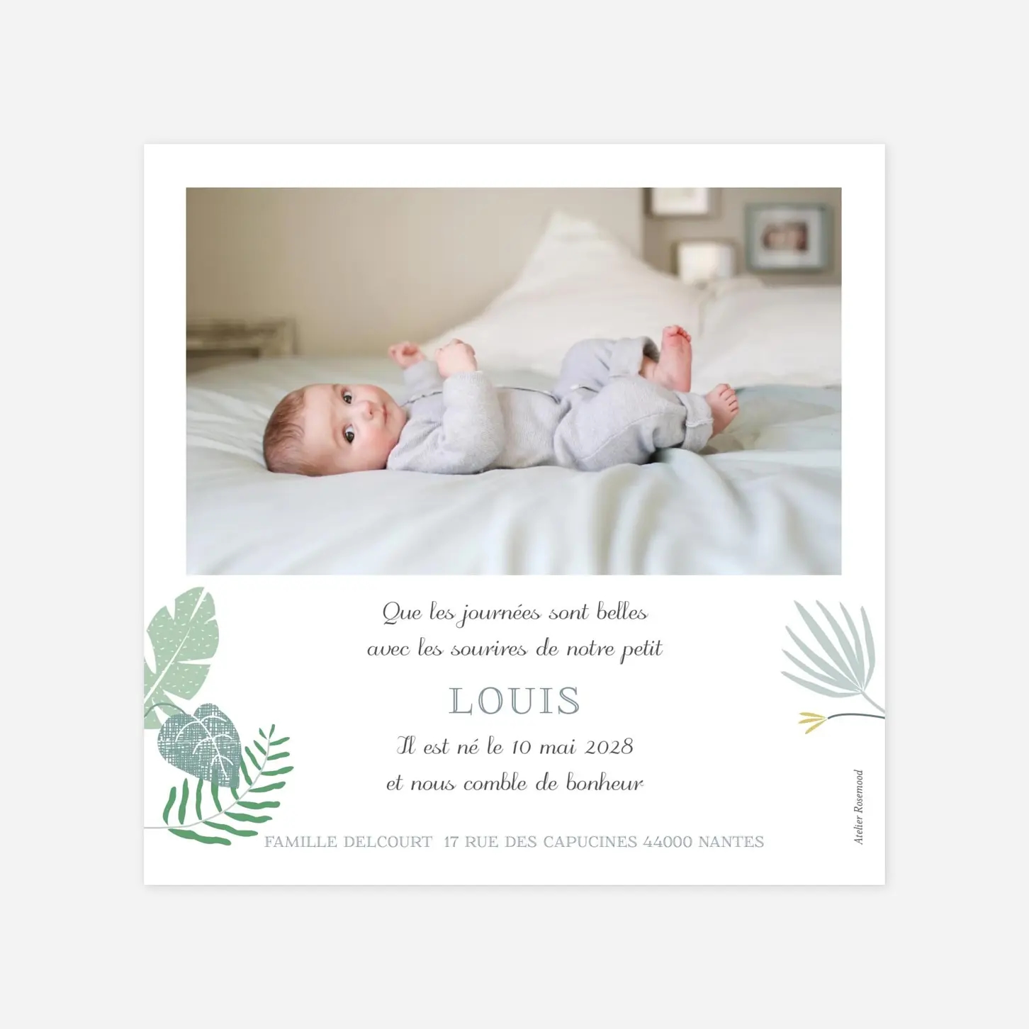 Faire-part naissance Jardin tropical