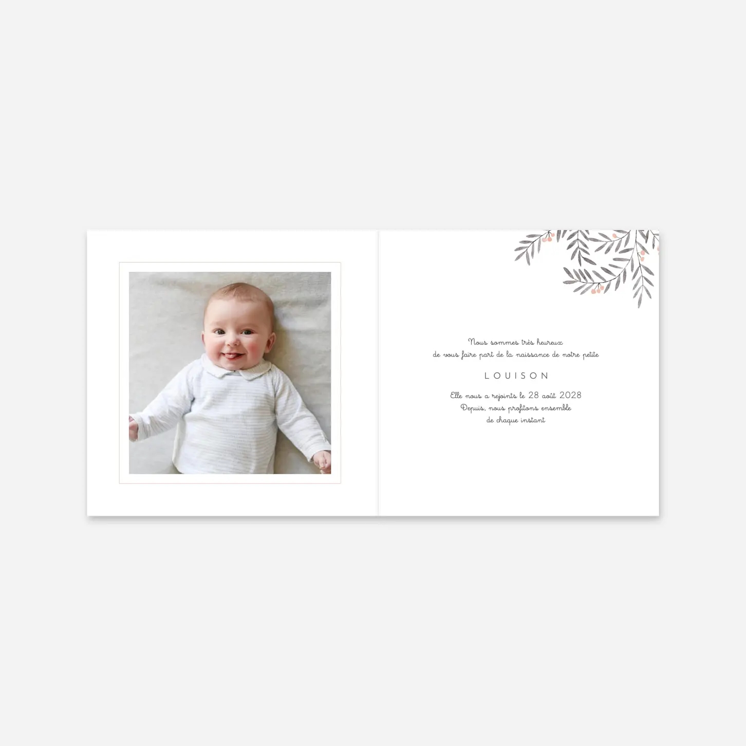 Faire-part naissance Jolies brindilles