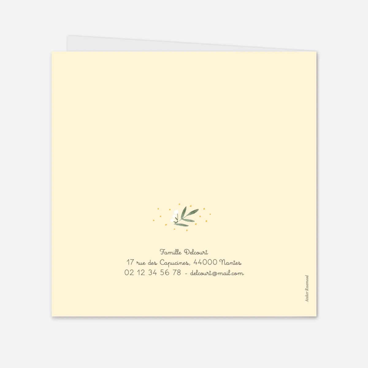 Faire-part naissance Jolies brindilles