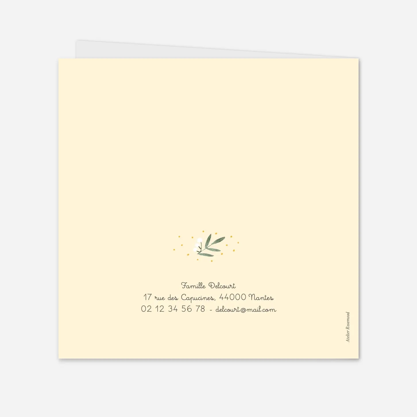 Faire-part naissance Jolies brindilles