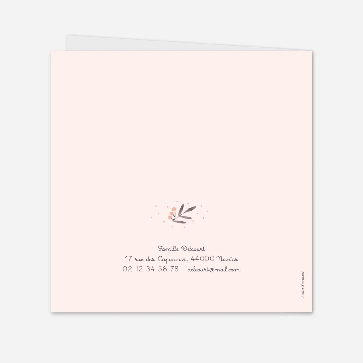 Faire-part naissance Jolies brindilles