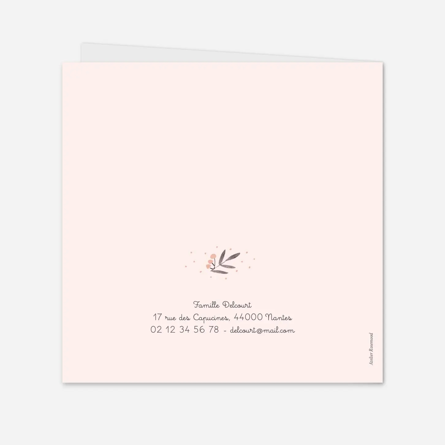 Faire-part naissance Jolies brindilles