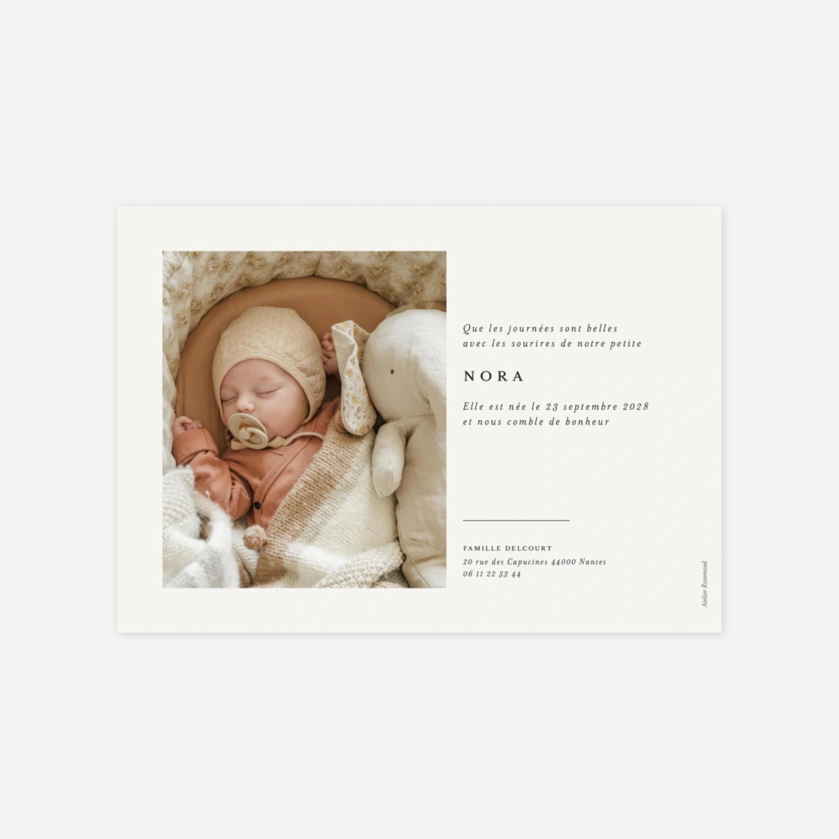 Faire-part naissance Jeune pousse