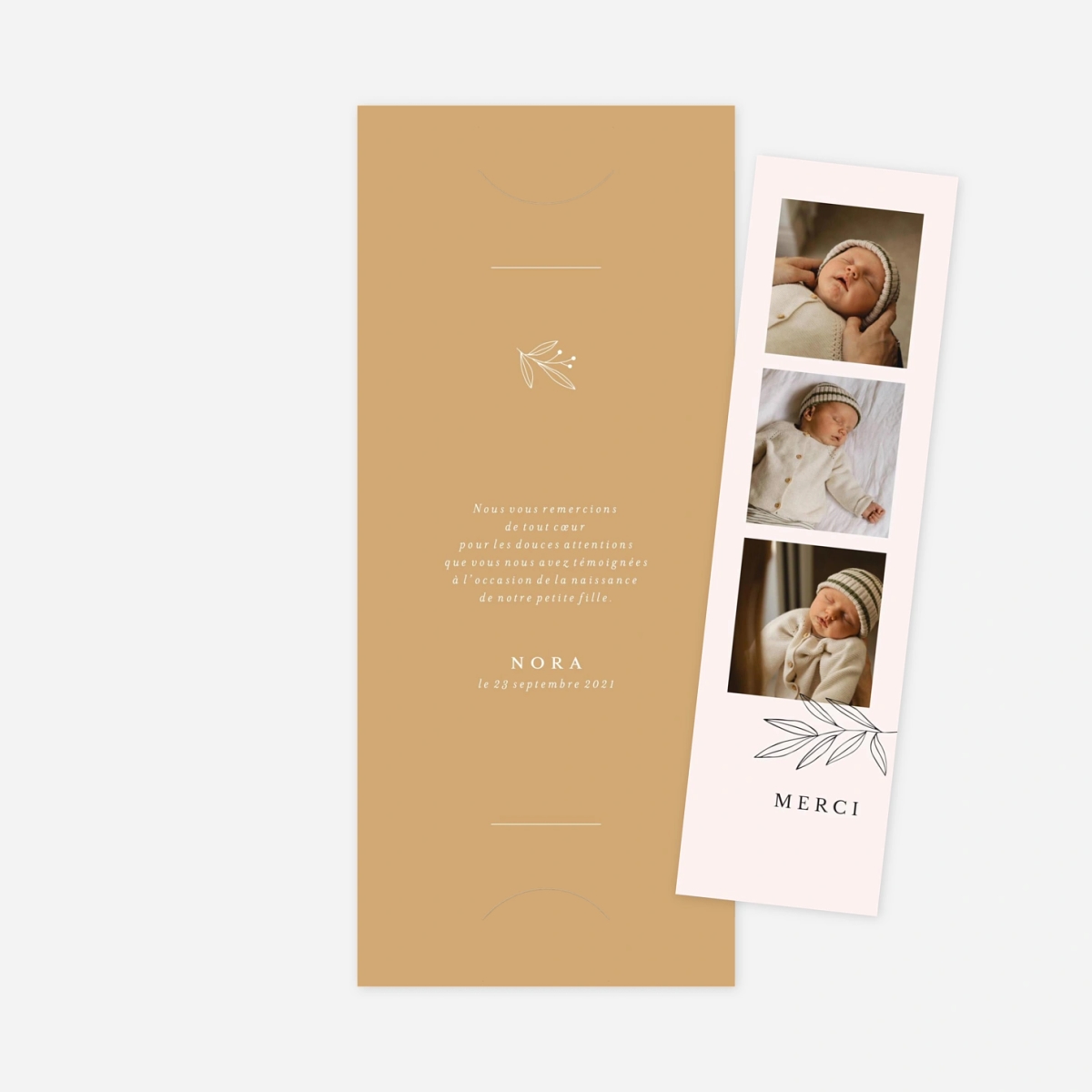 Carte remerciement naissance Jeune pousse pastel