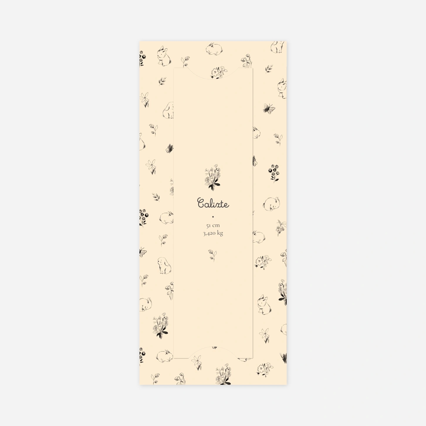 Faire-part naissance Lapin crayonné