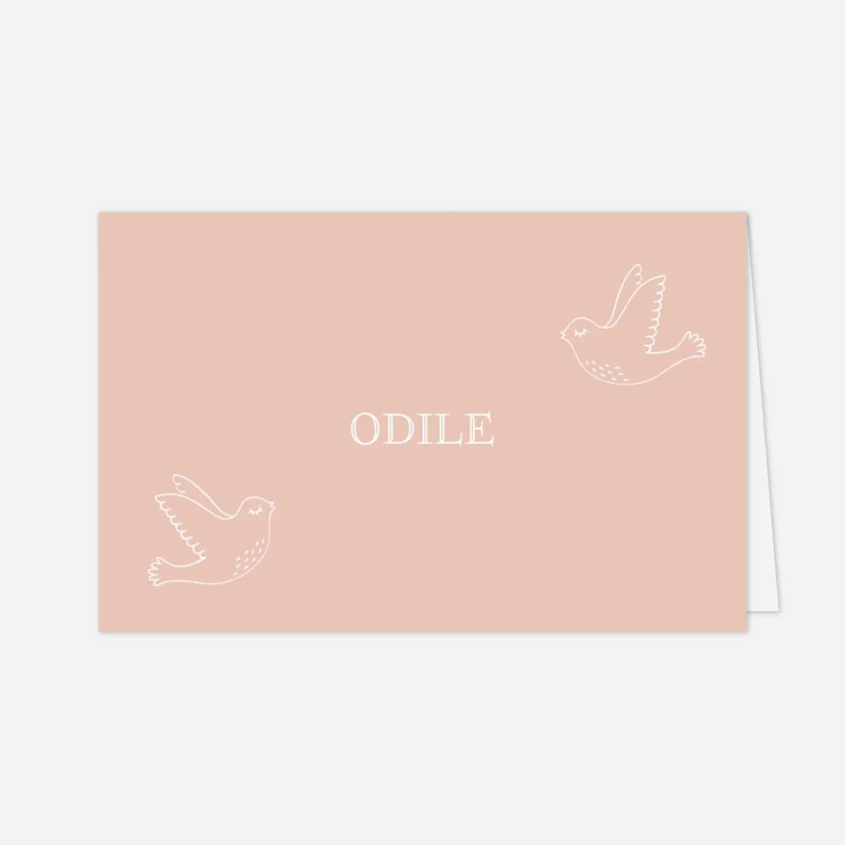 Marque-place baptême L'envolée