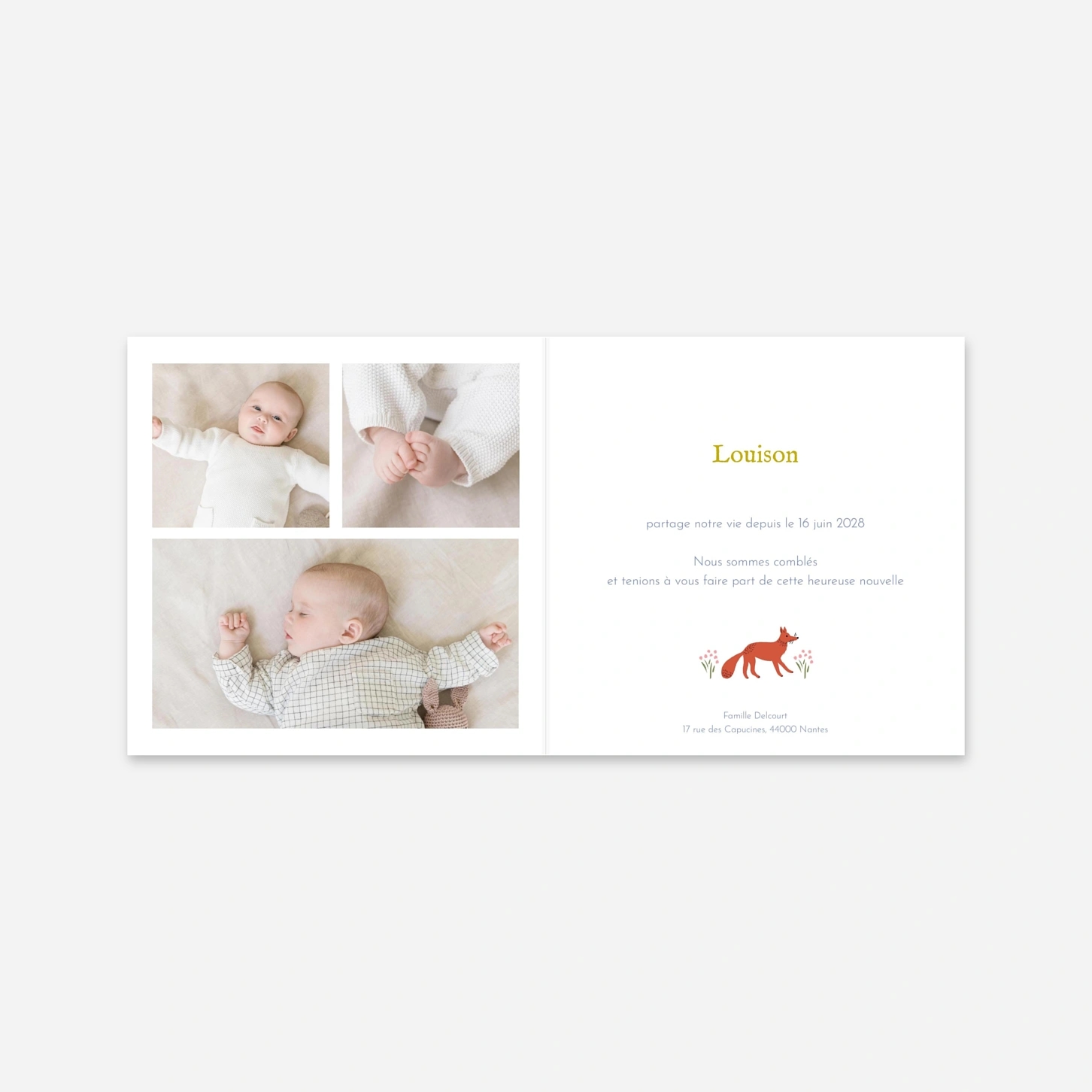 Faire-part naissance Liberty renard