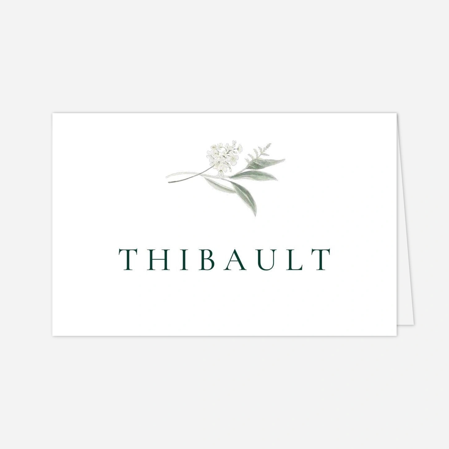 Marque-place mariage Lien végétal