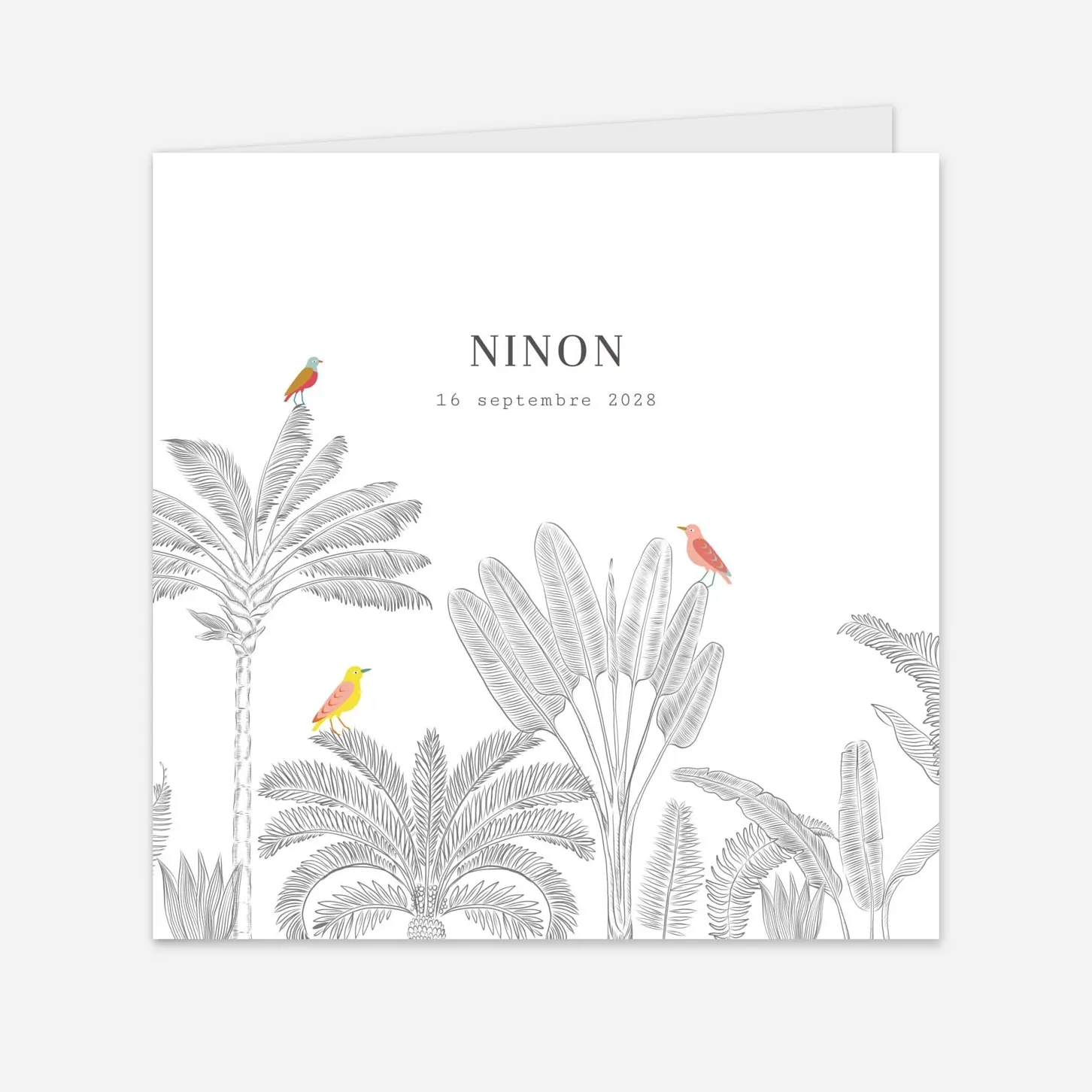 Faire-part naissance Oiseaux de paradis