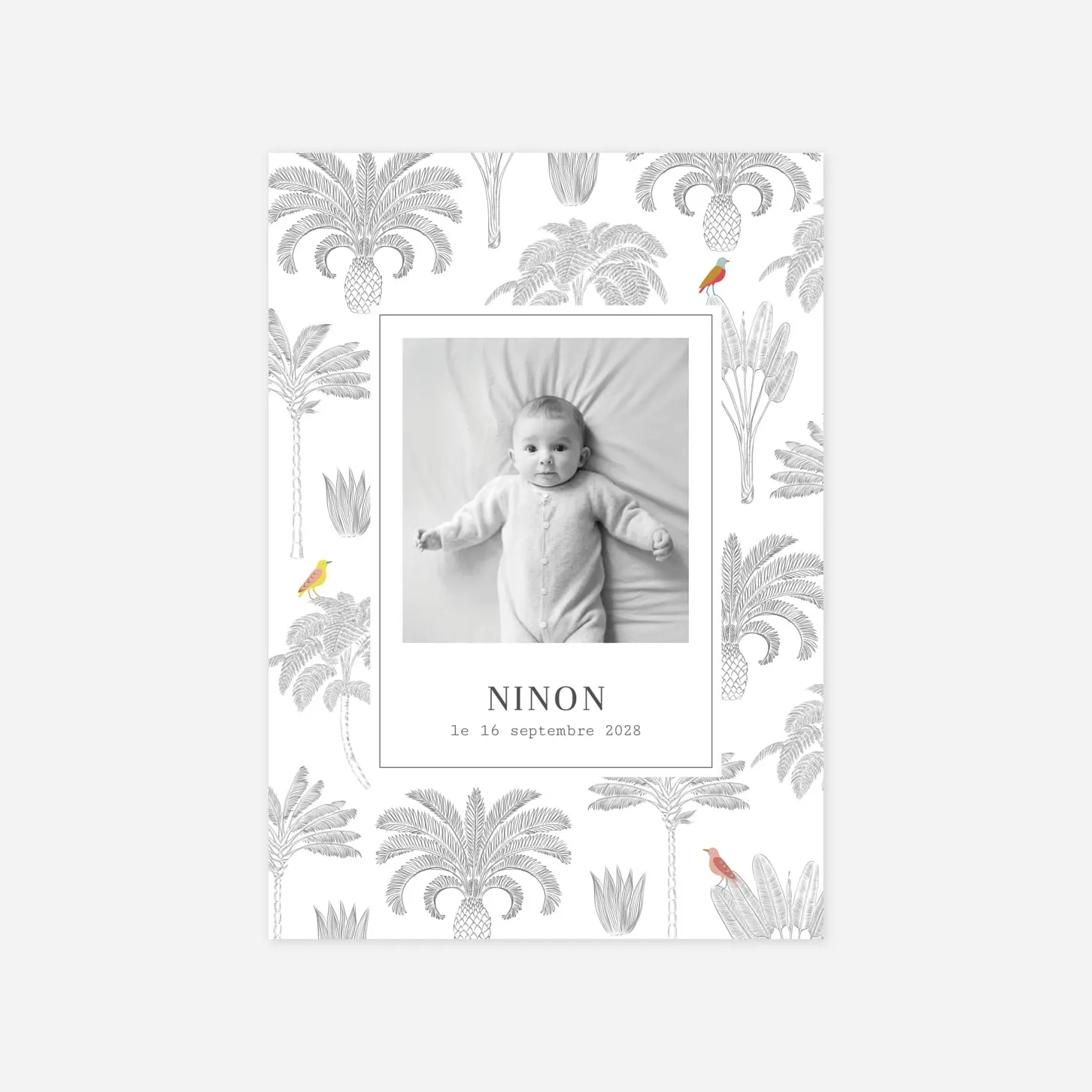 Faire-part naissance Oiseaux de paradis