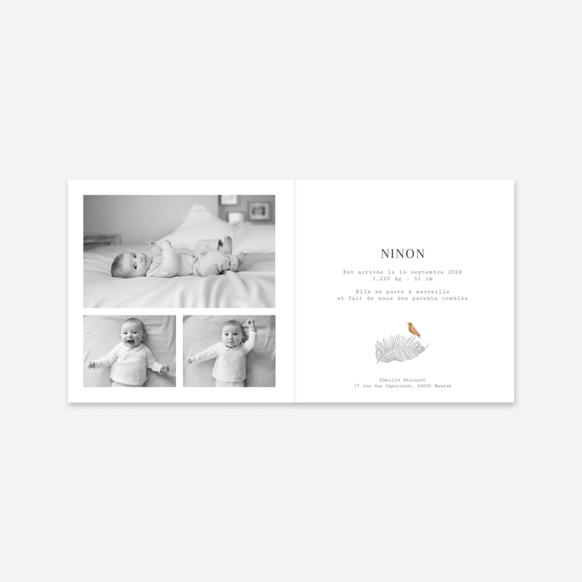 Faire-part naissance Oiseaux de paradis