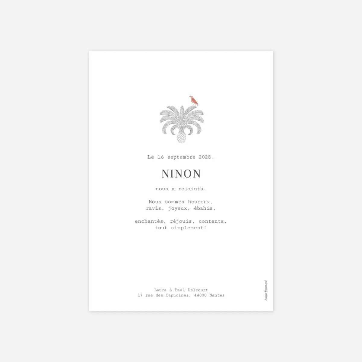 Faire-part naissance Oiseaux de paradis