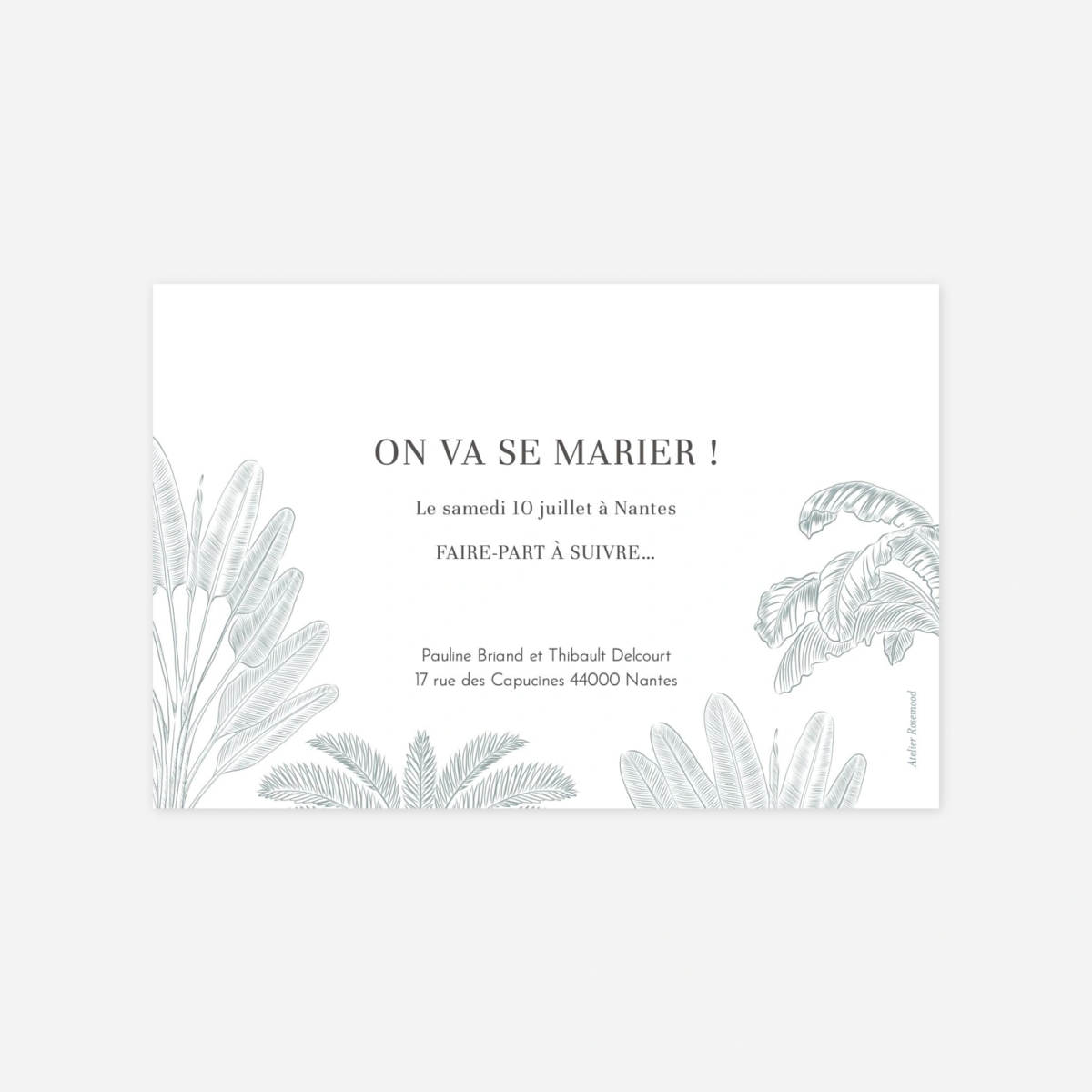 Save the date Oiseaux de paradis