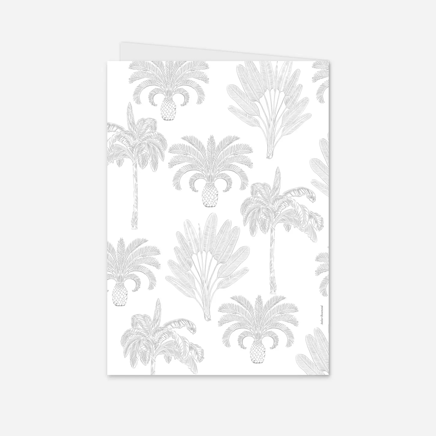 Livret de messe baptême Oiseaux de paradis