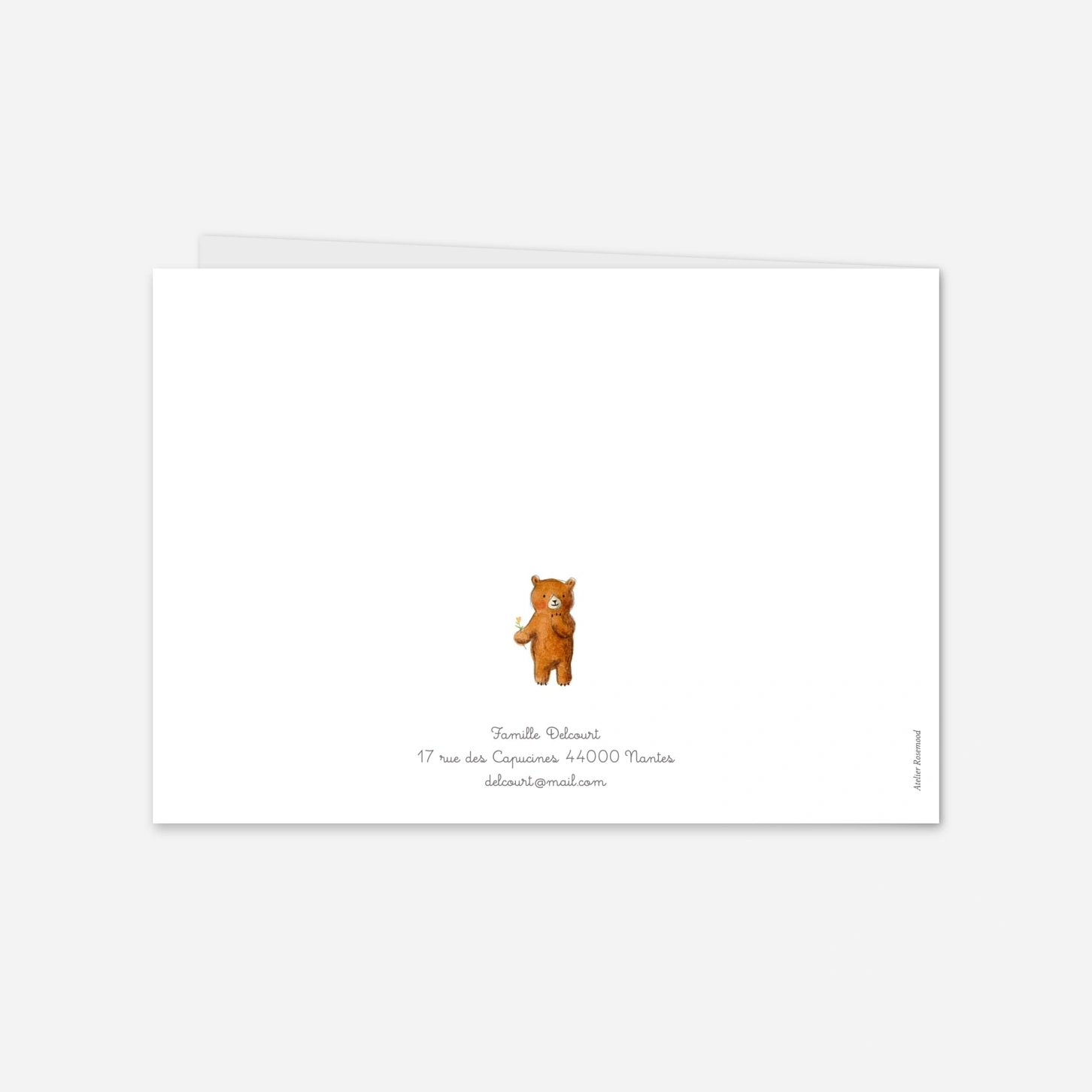 Faire-part naissance Ours en famille