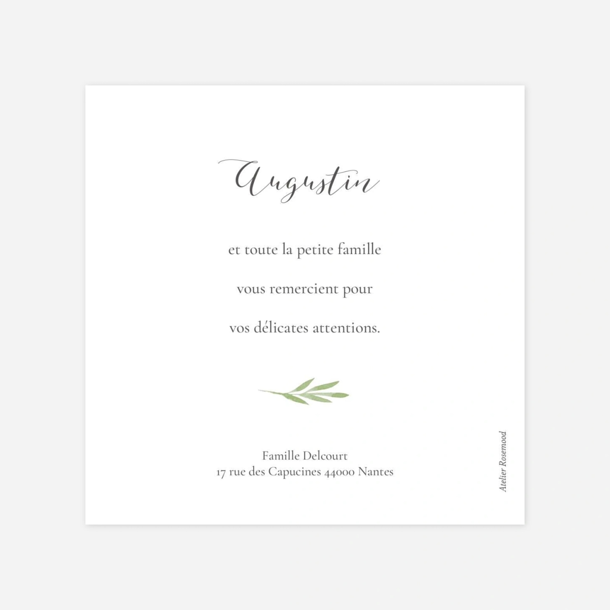 Carte remerciement naissance Petits brins