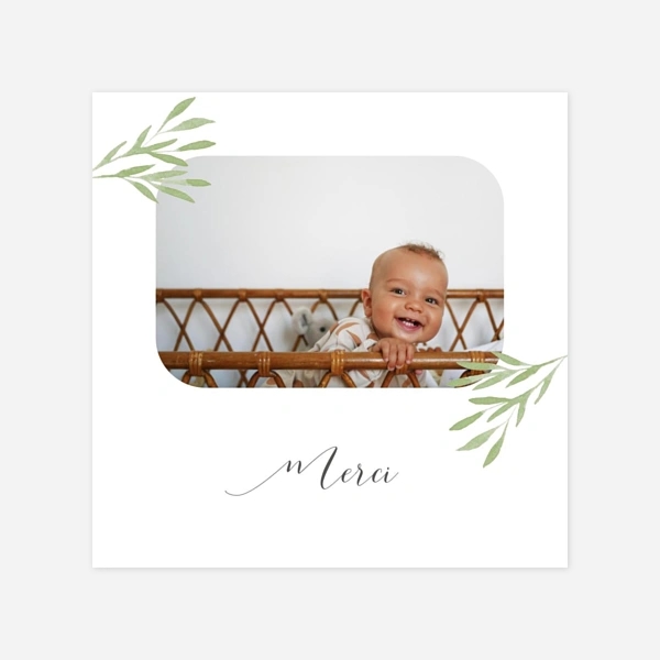Petits brins