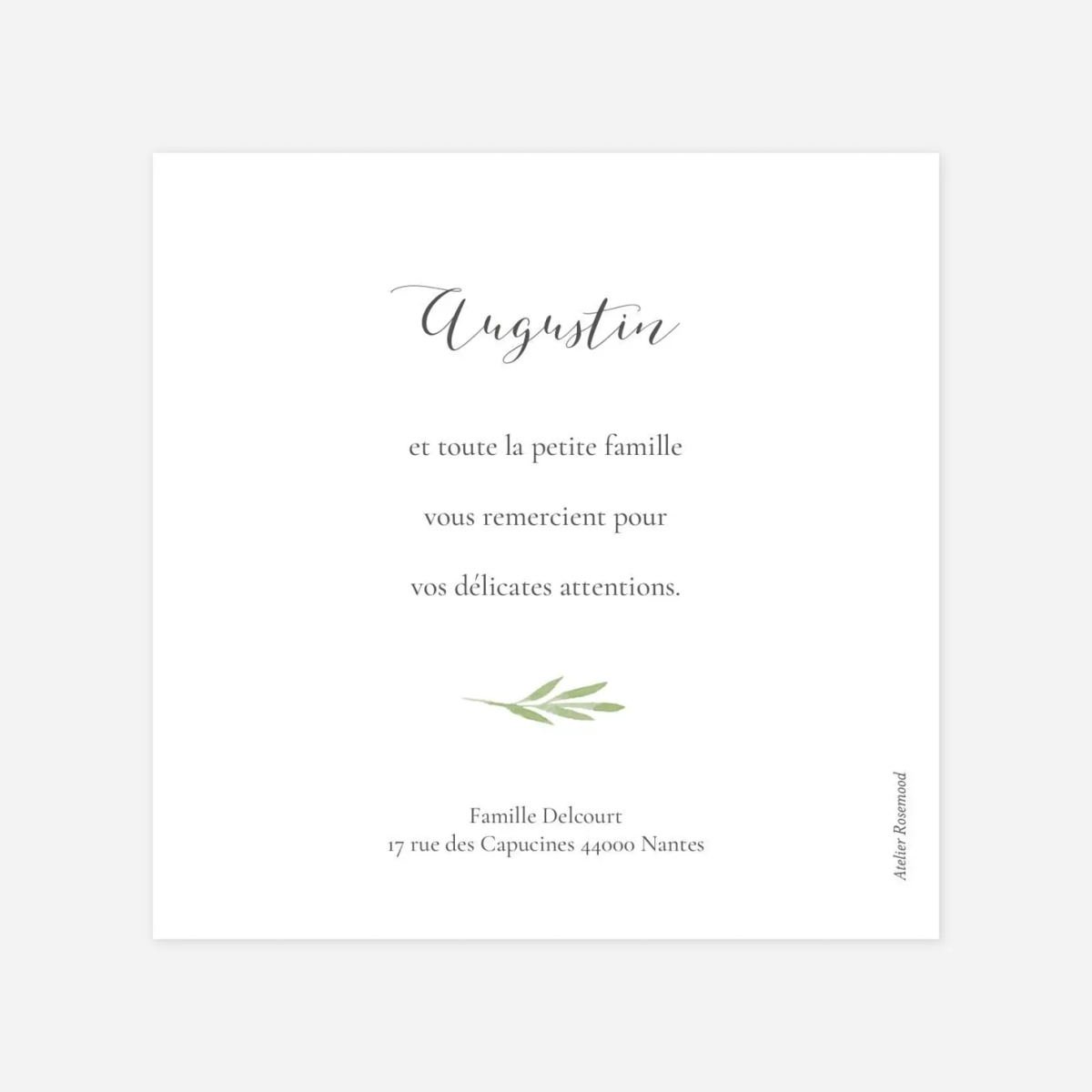 Carte remerciement naissance Petits brins