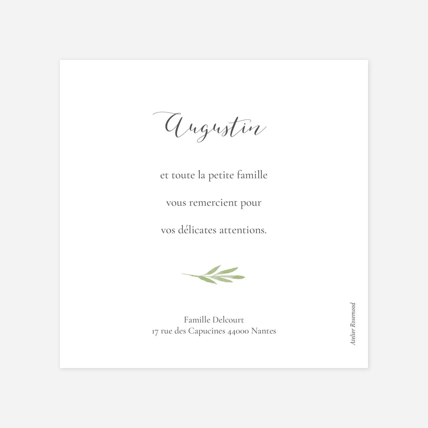 Carte remerciement naissance Petits brins